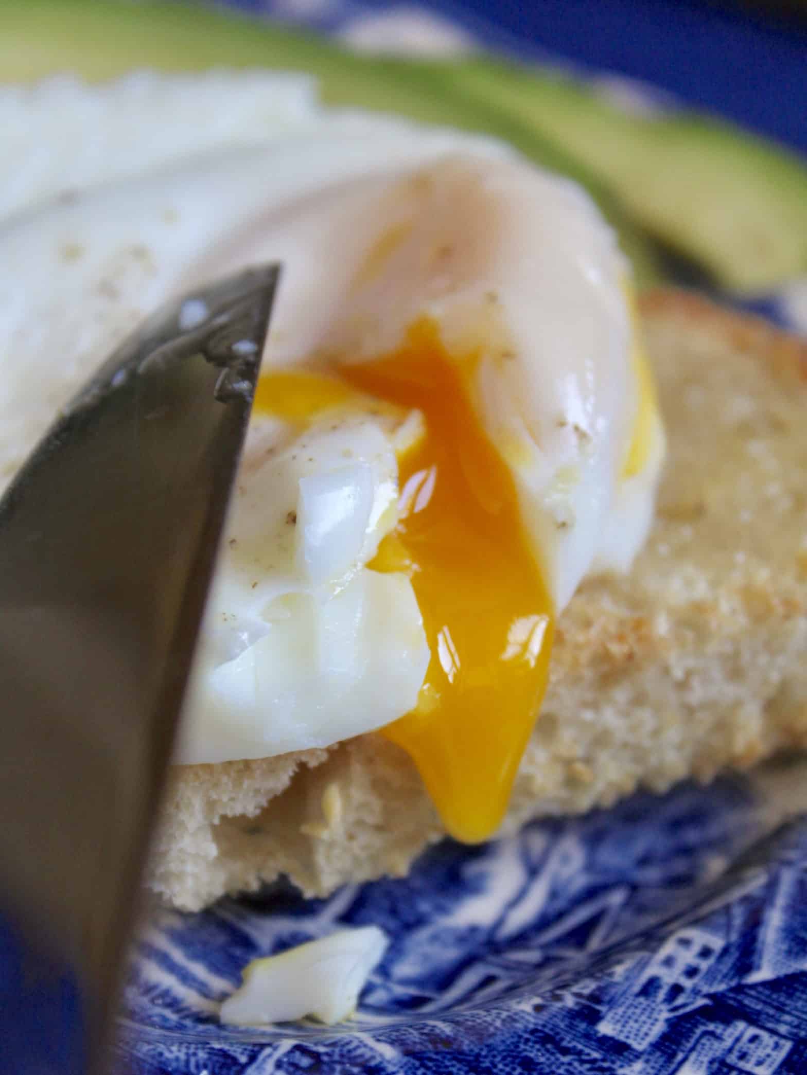 coddled egg on toast