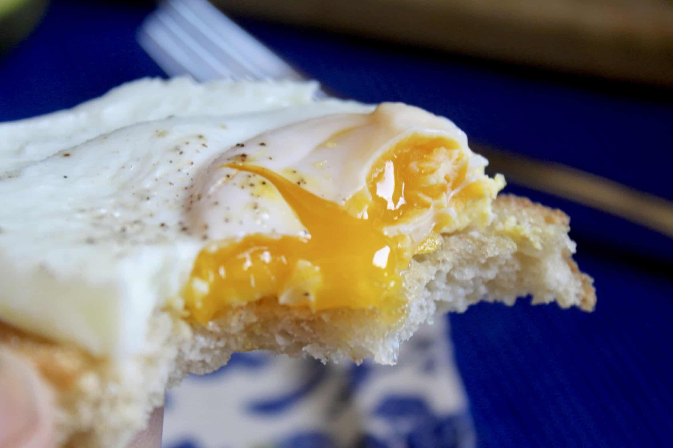 coddled egg on toast