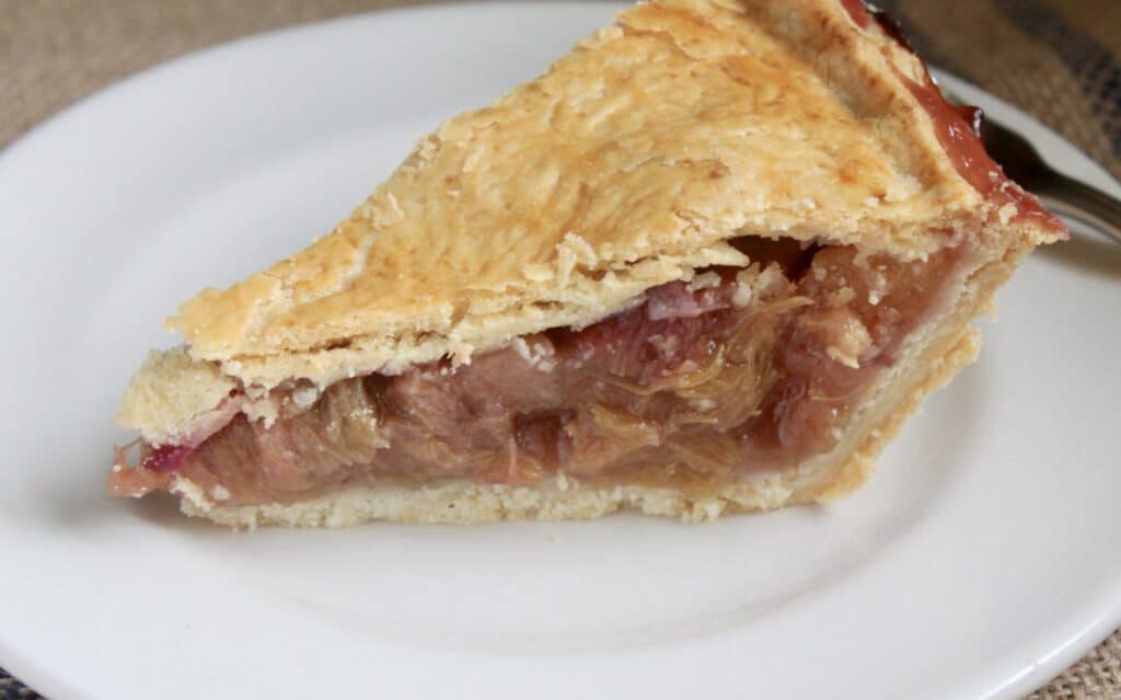 slice of rhubarb pie
