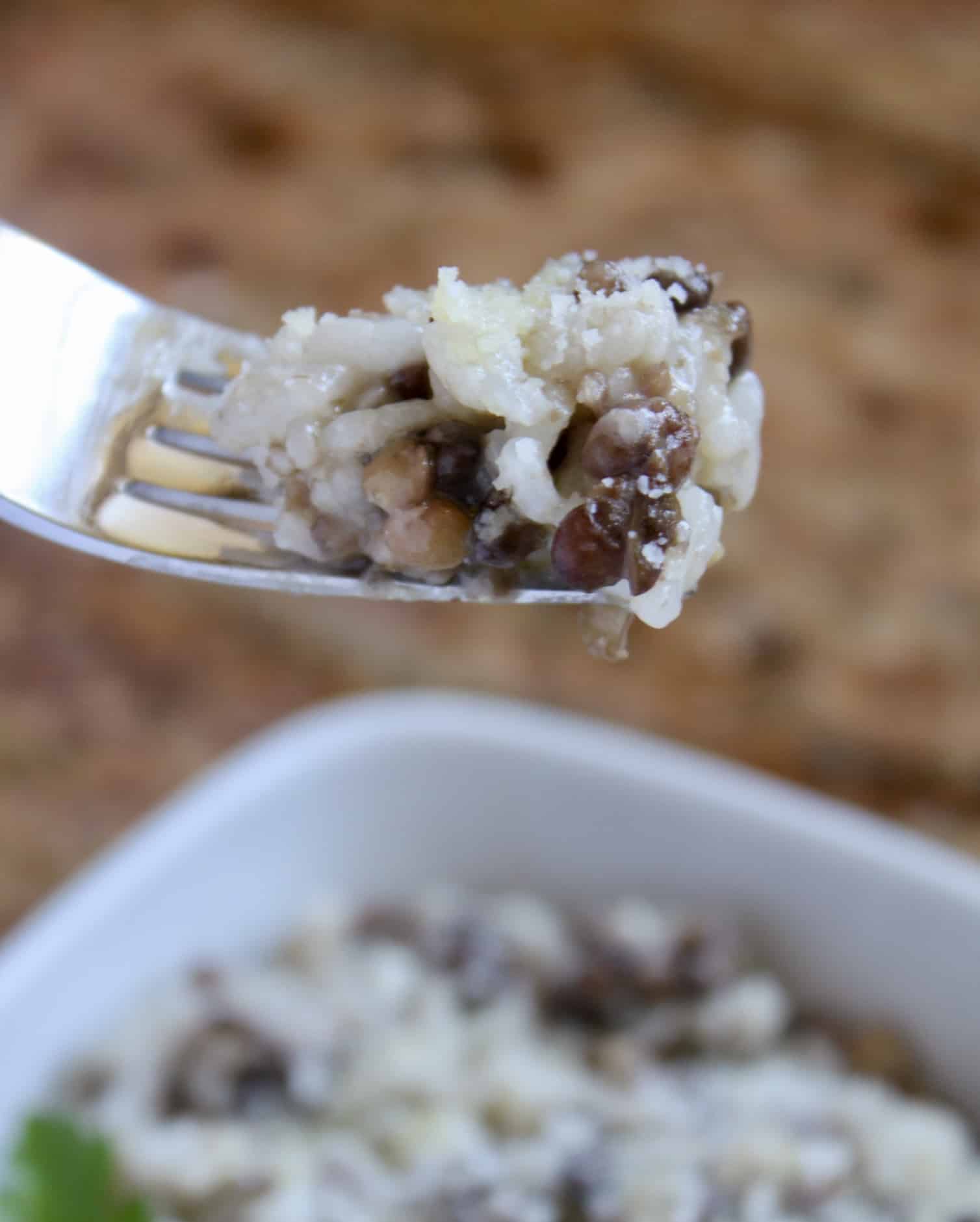 forkful of rice and lentils