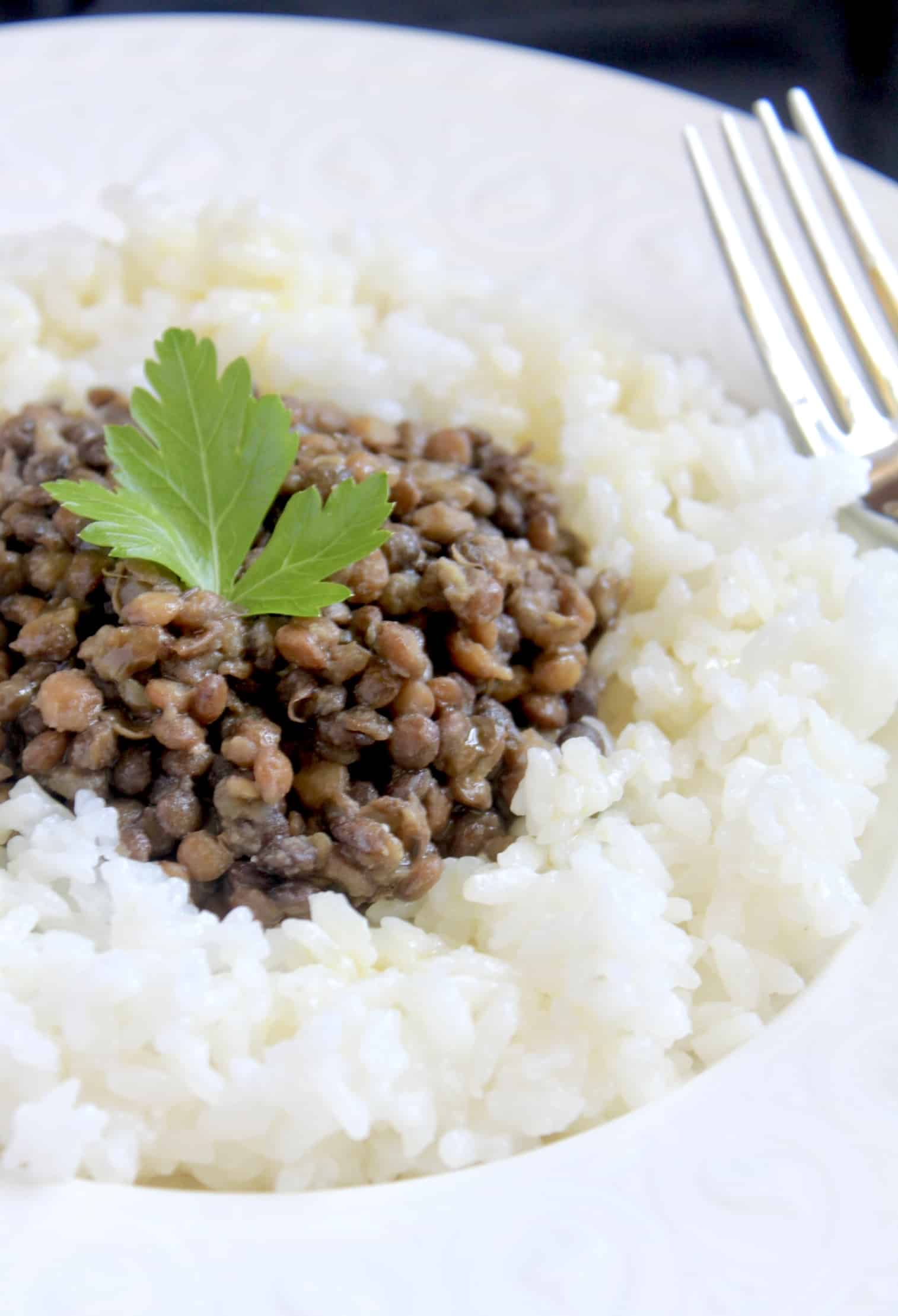 lentils and rice