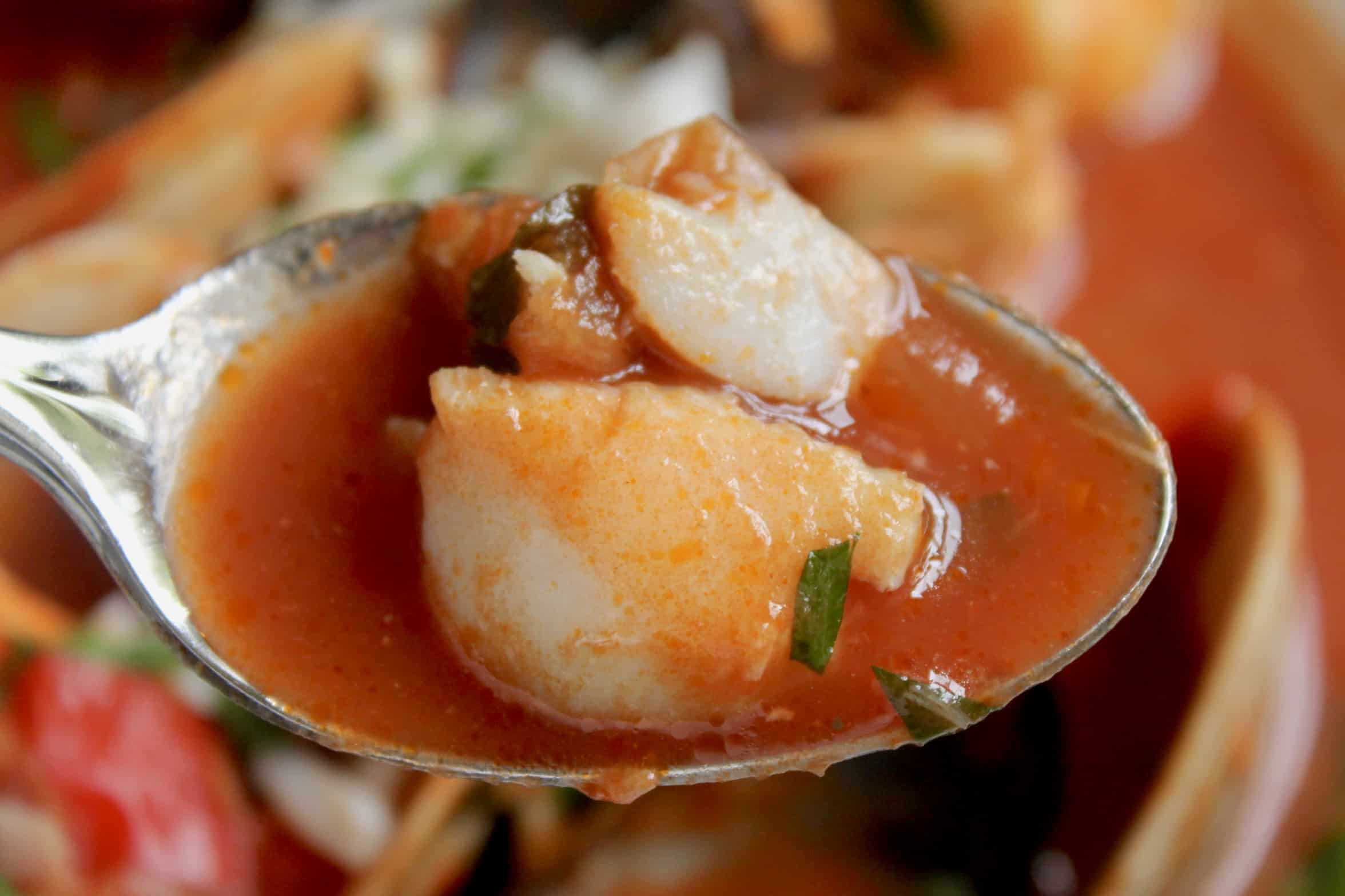 spoonful of cioppino