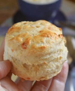 savory parsnip scone