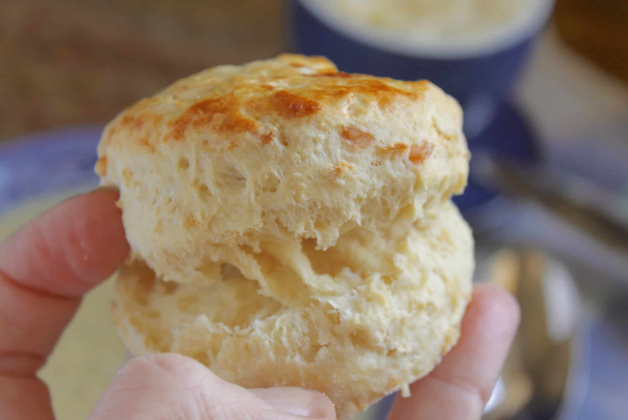 opening a savory parsnip scone