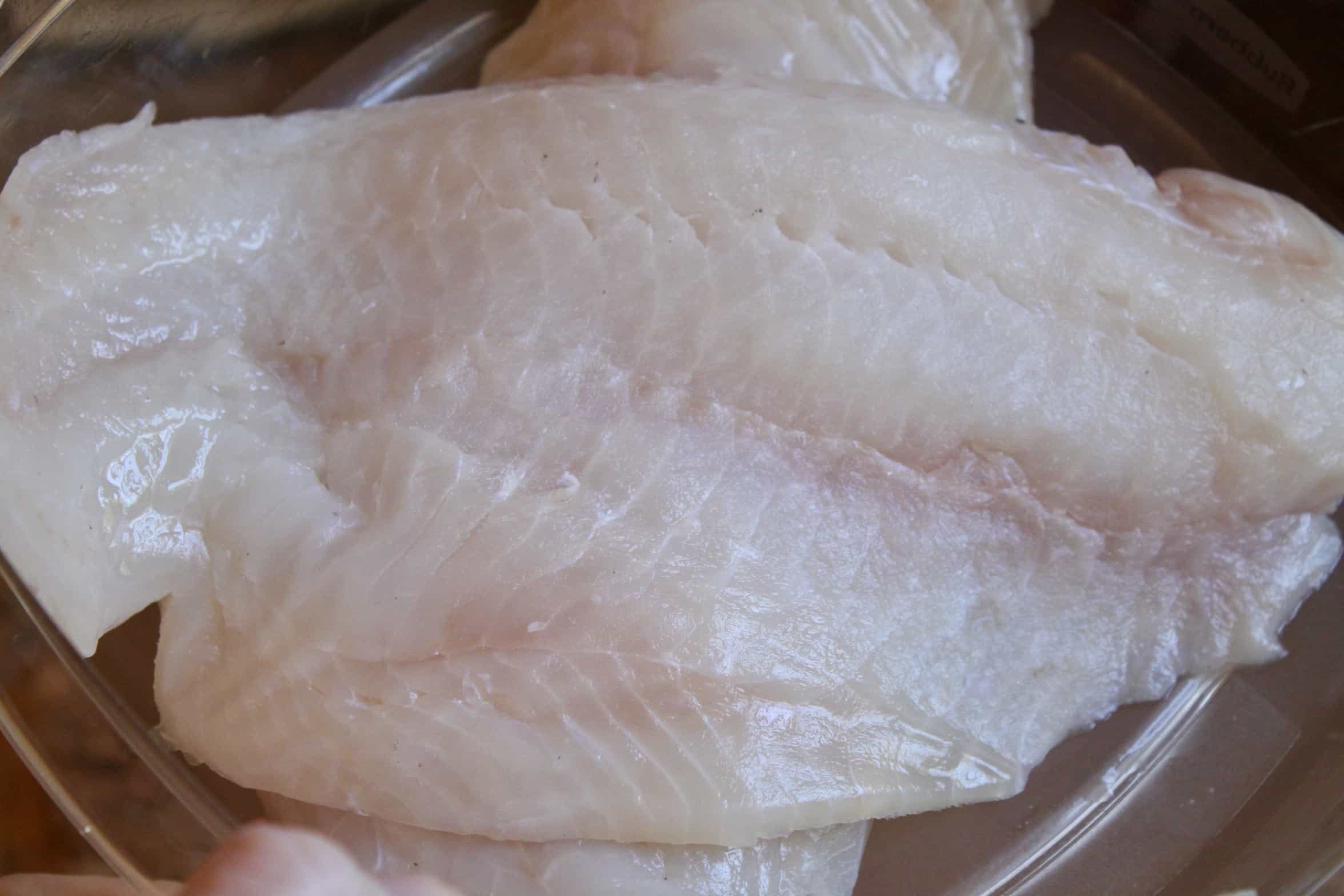 fresh haddock