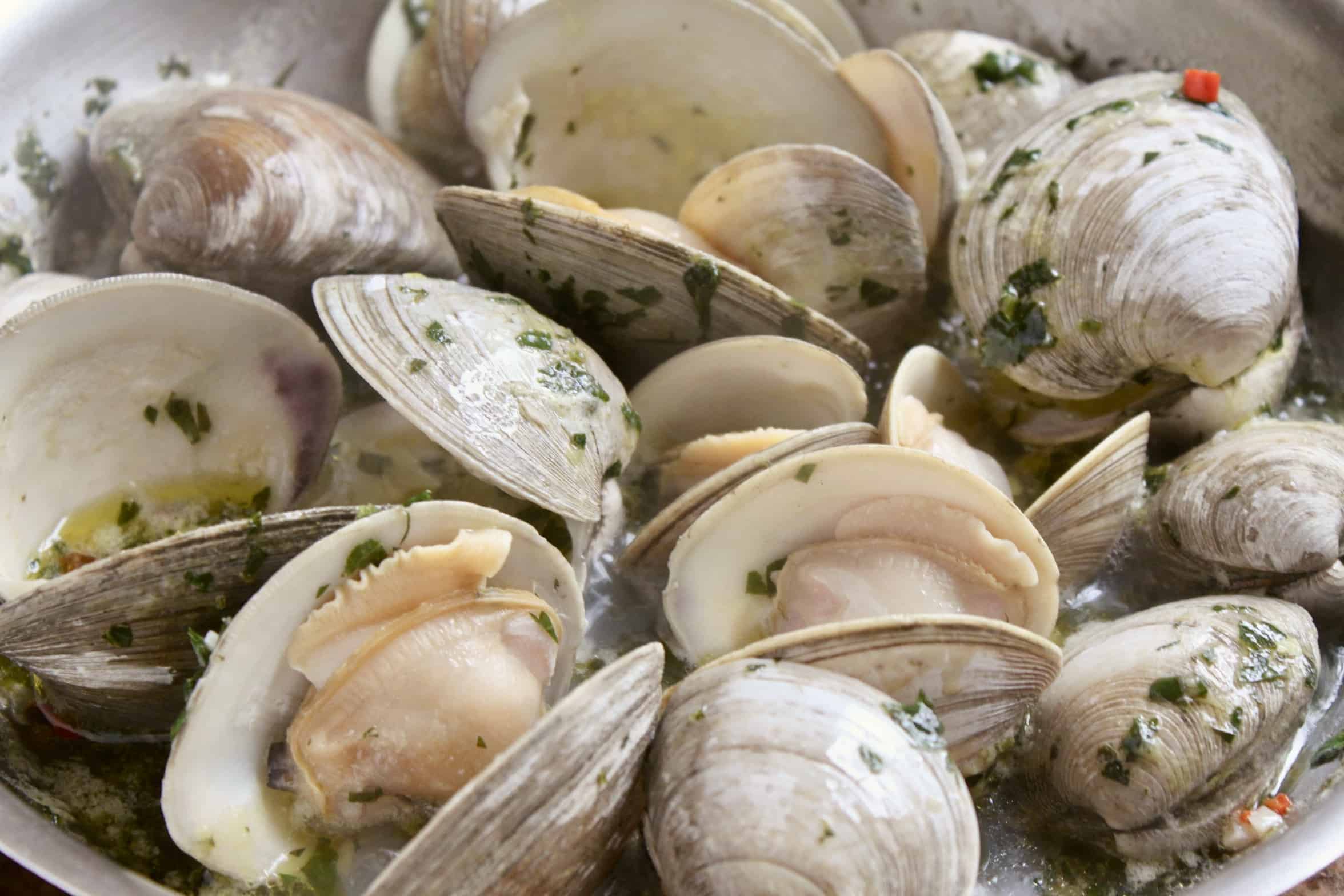 cooking clams