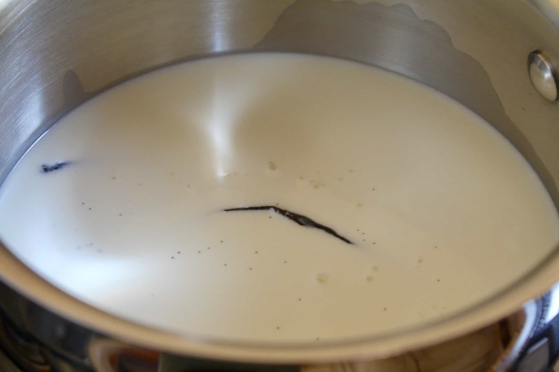 cream, milk and vanilla bean in a pot