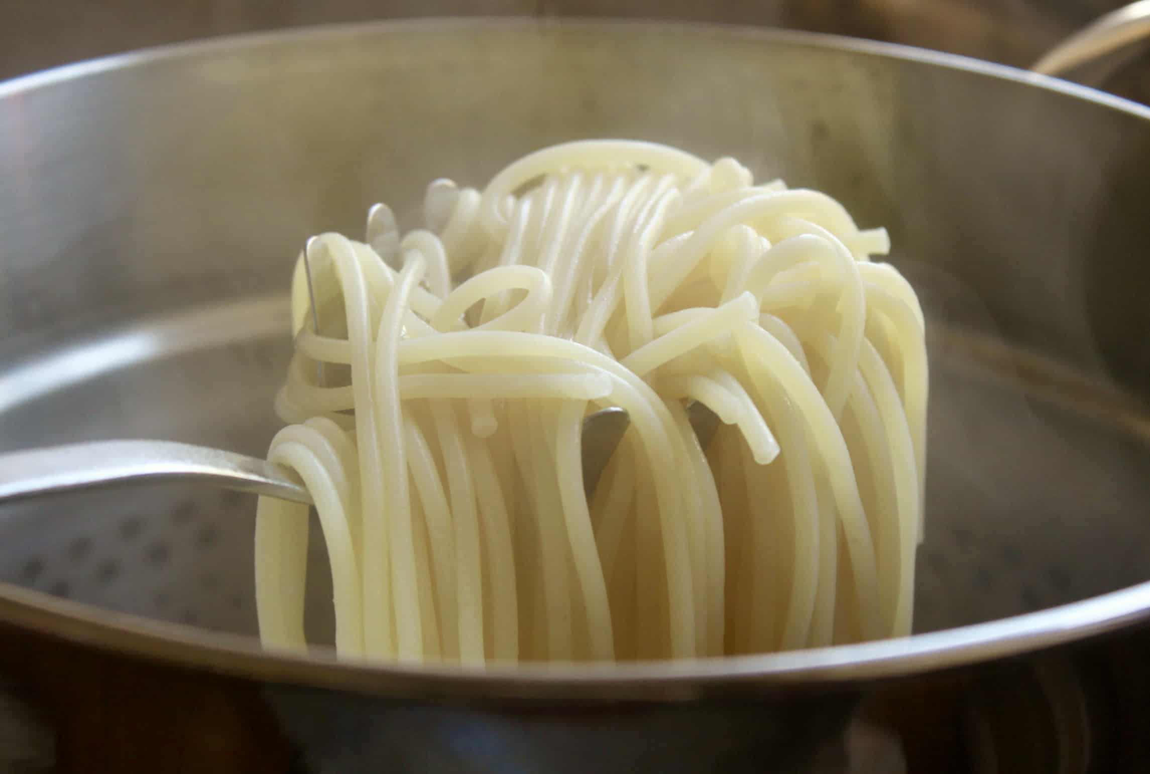 spaghetti on a pasta fork