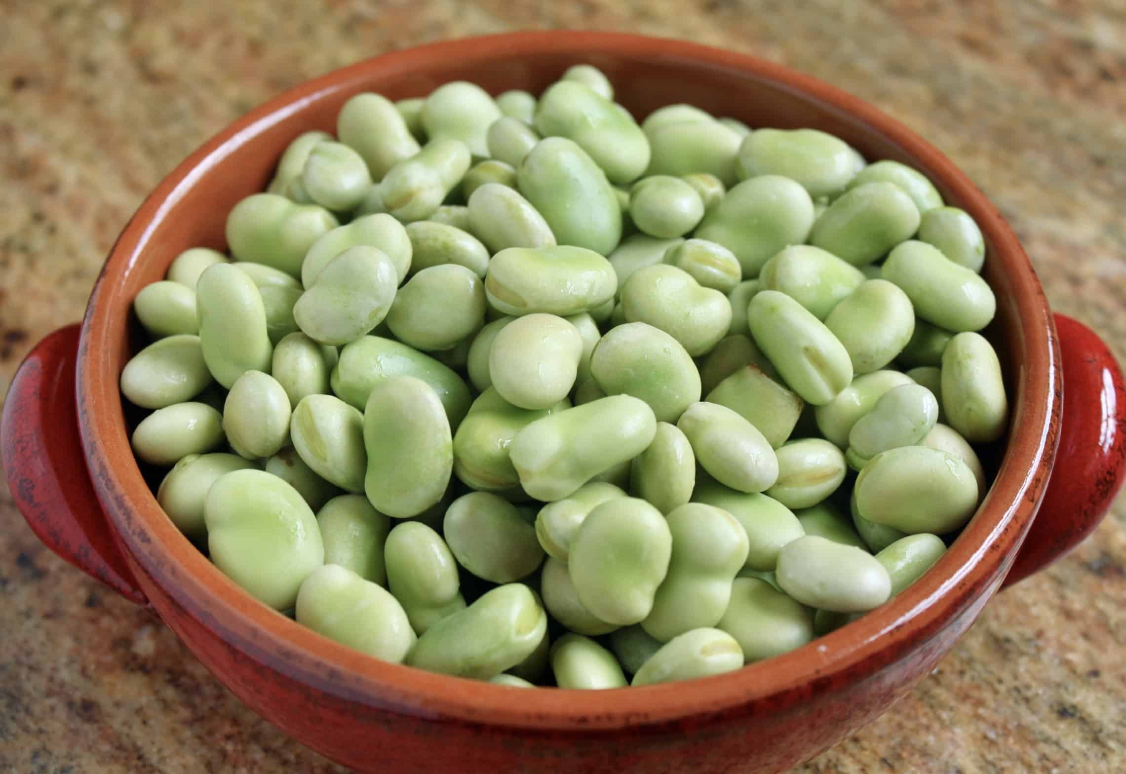raw broad beans in a bowl