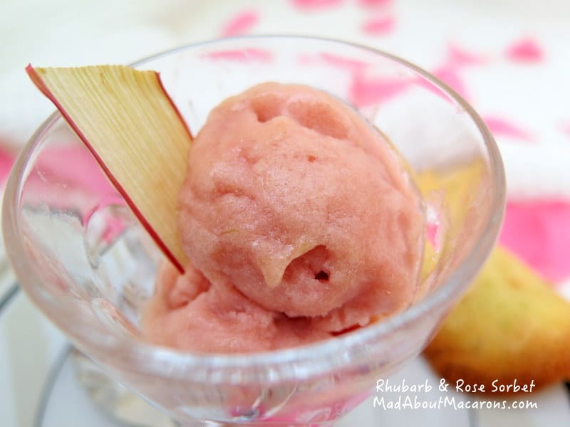 rhubarb rose sorbet