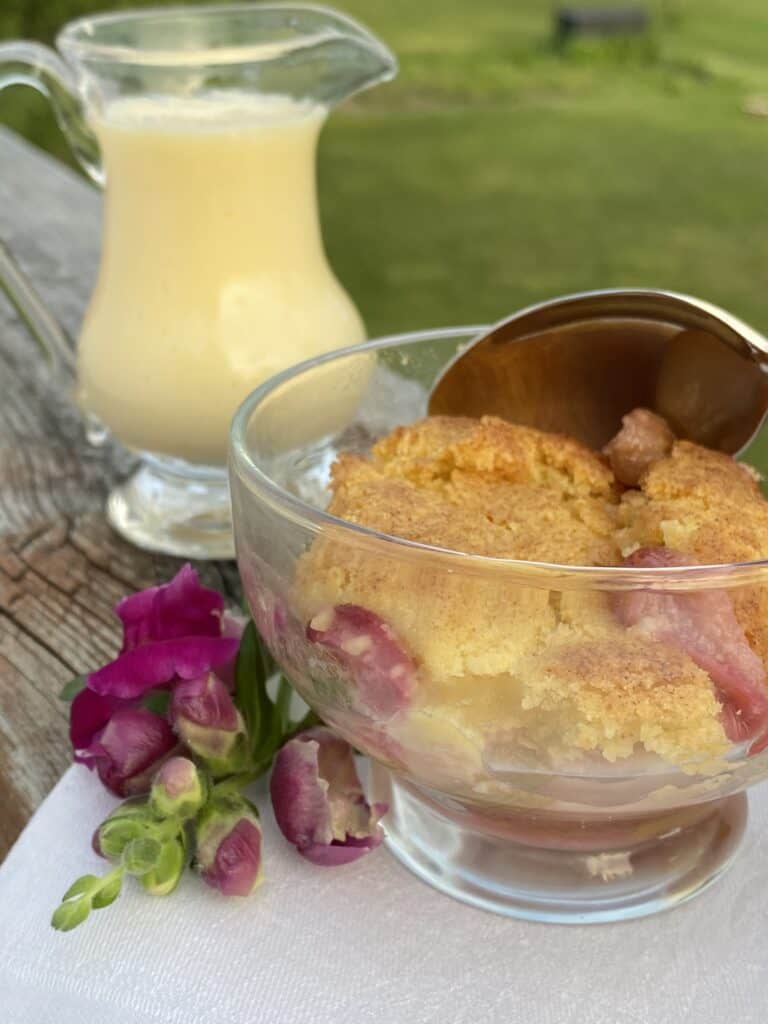 rhubarb cobbler with custard in a jug