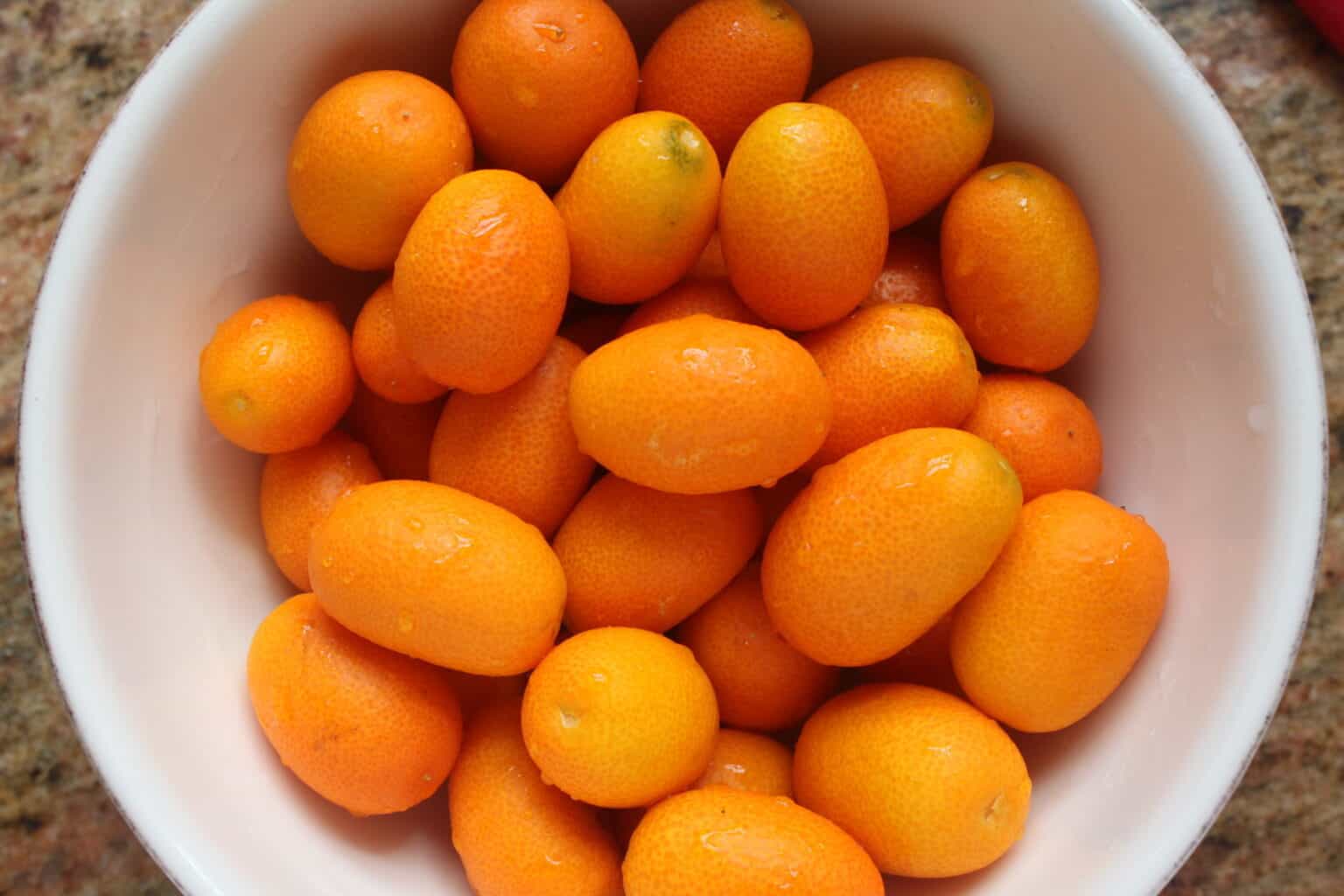 Kumquat Marmalade (Easy, No Pectin Recipe) - European Food and Travel
