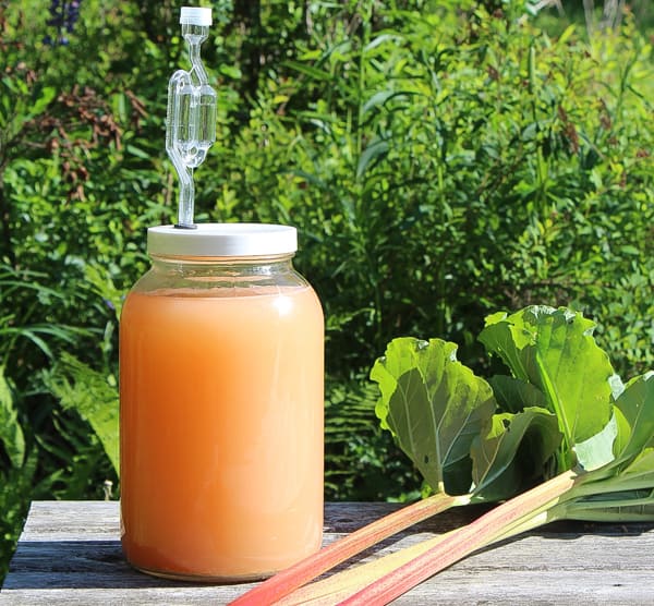 rhubarb wine rhubarb wine