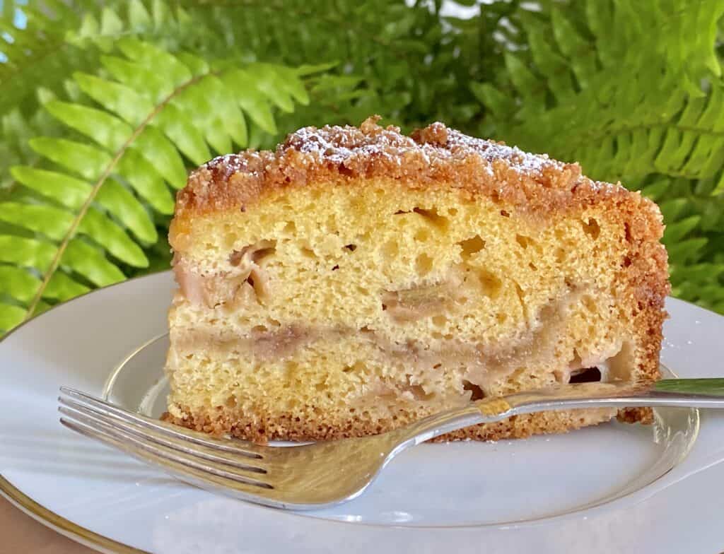 slice of rhubarb cake with fern in background
