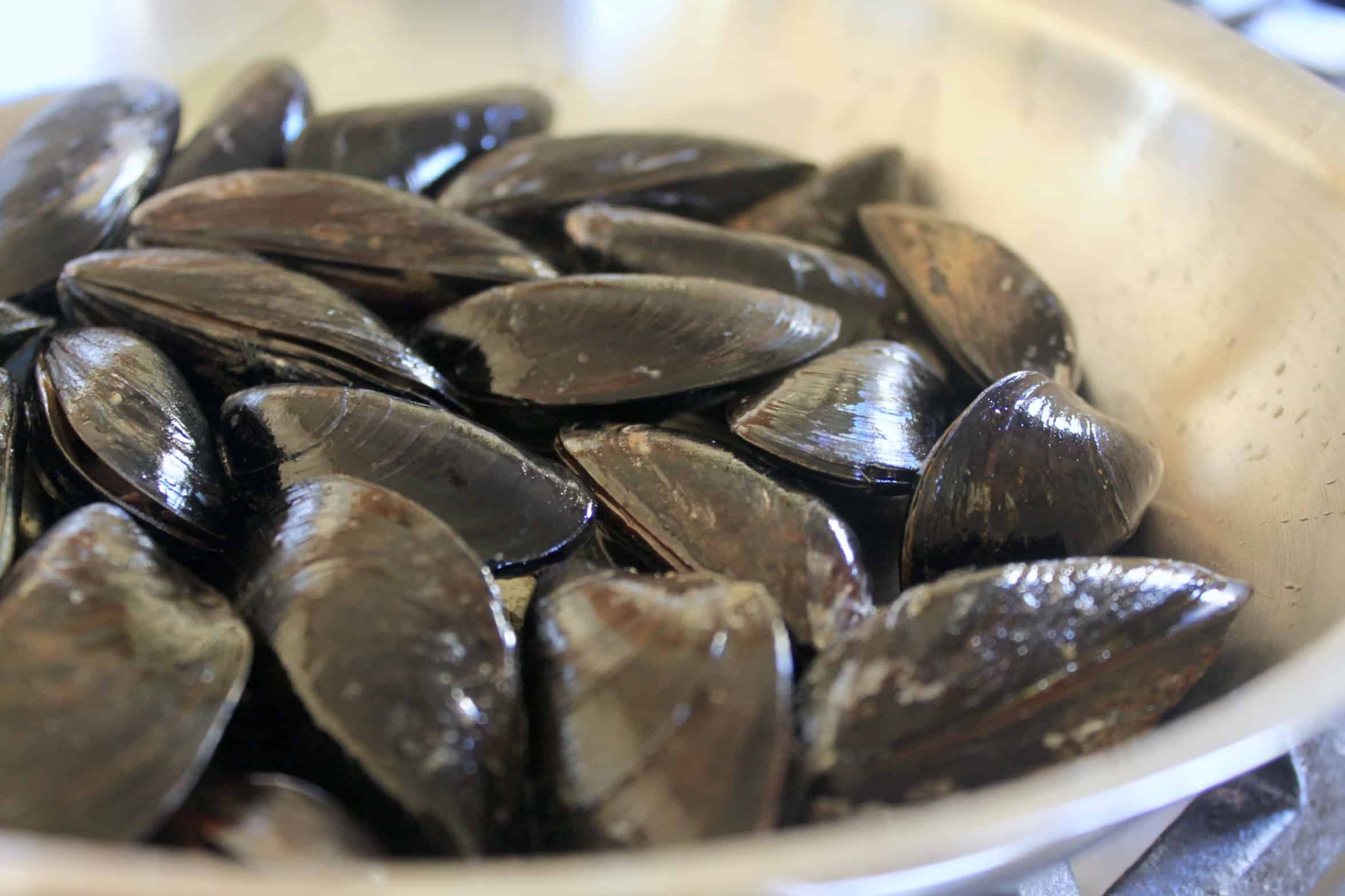 mussels in a pan