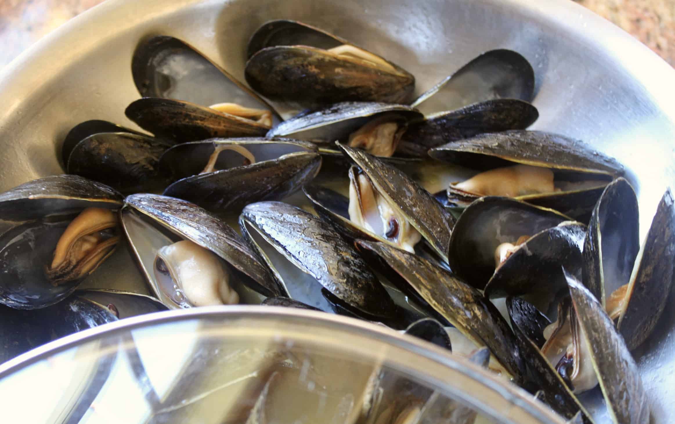 mussels open in a pan