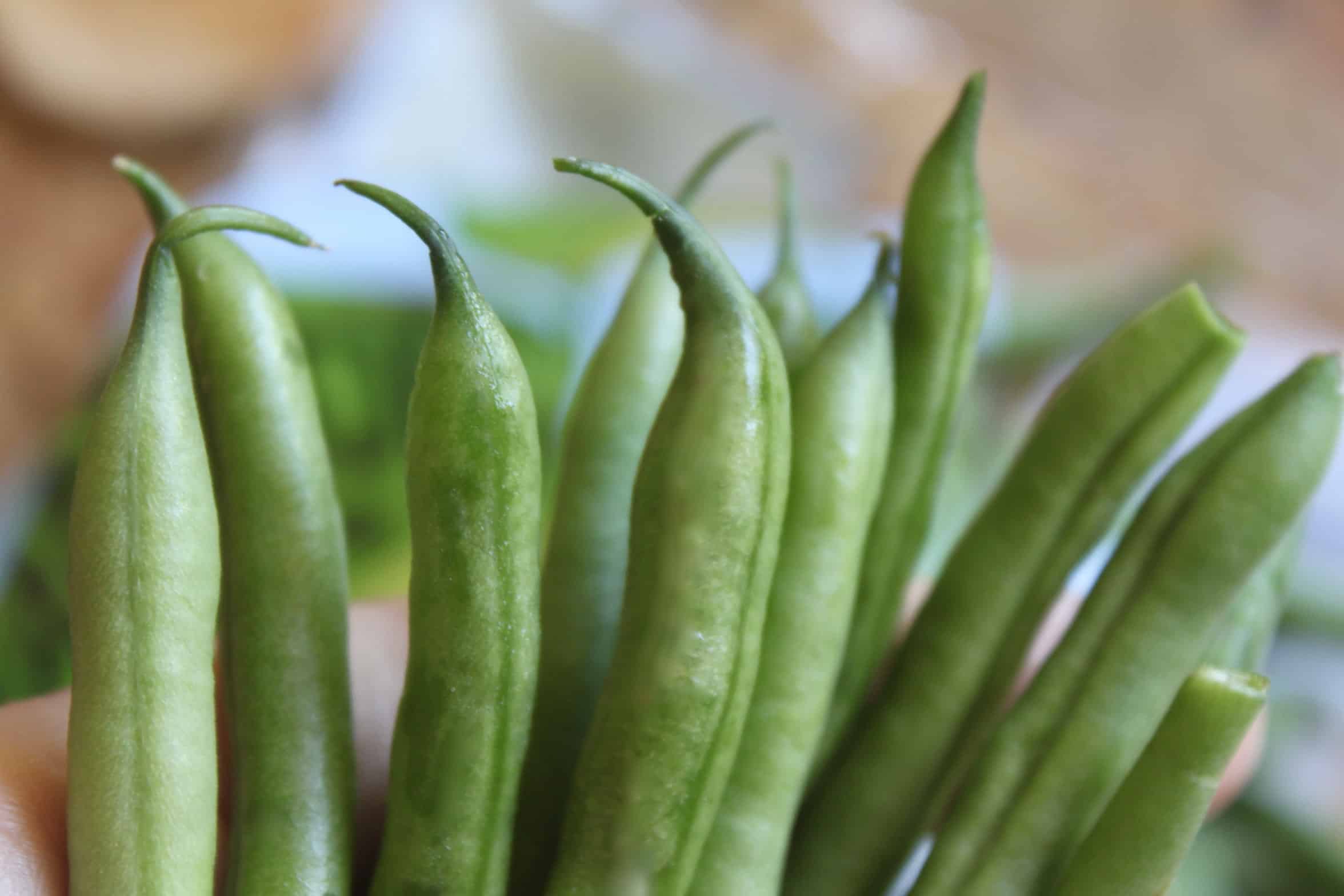 tips of green beans