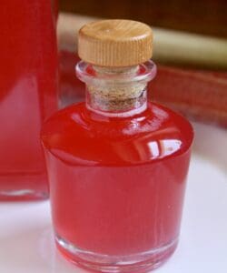 rhubarb syrup in a little bottle