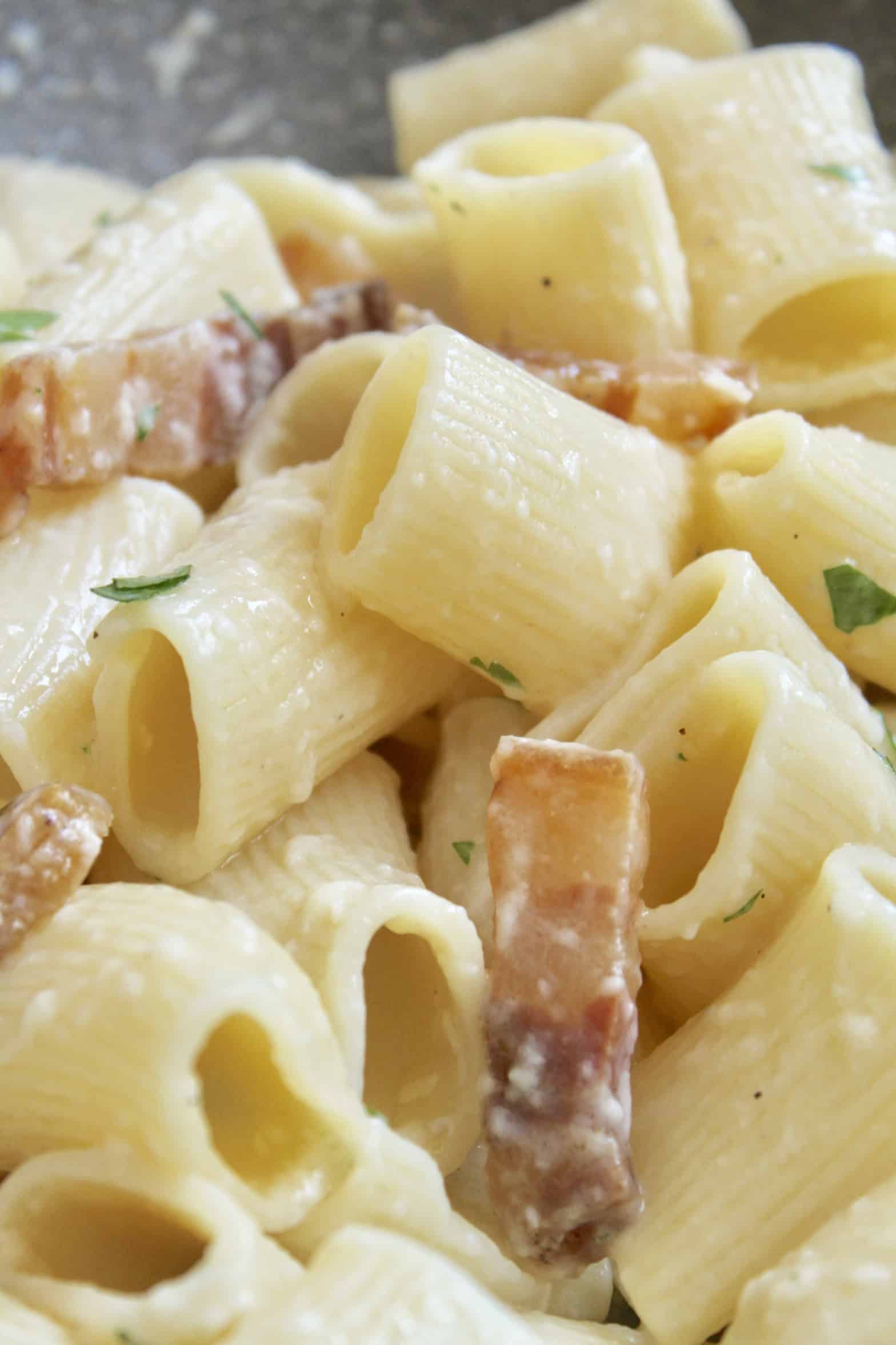 pancetta pasta close up