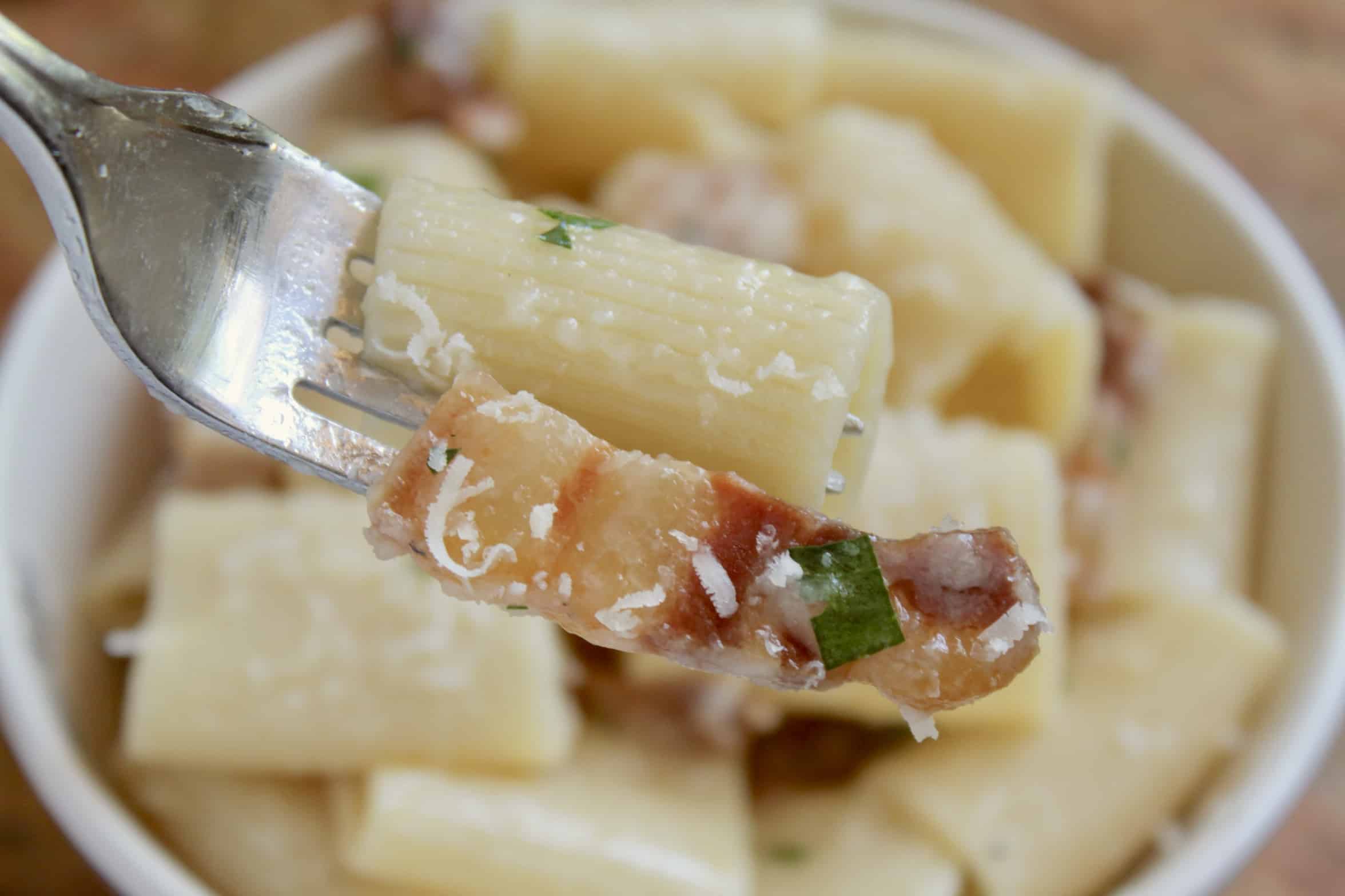 forkful of pancetta pasta