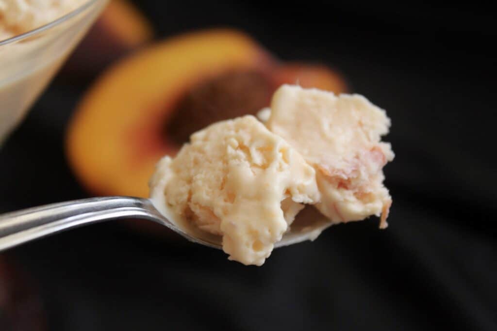 Peach Ice Cream (Quick and Easy Blender Recipe) Christina's Cucina