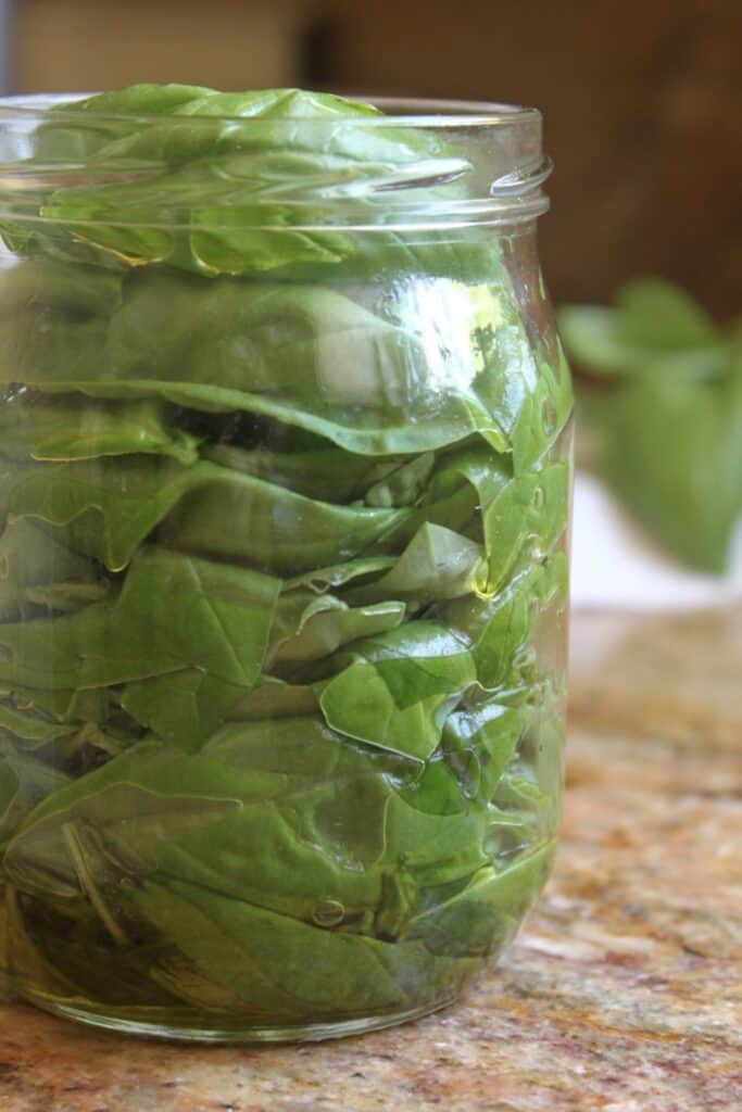 How to Freeze Basil (Fresh Basil Under Oil) - European Food and Travel