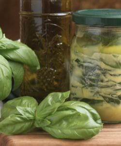 fresh and frozen basil with olive oil