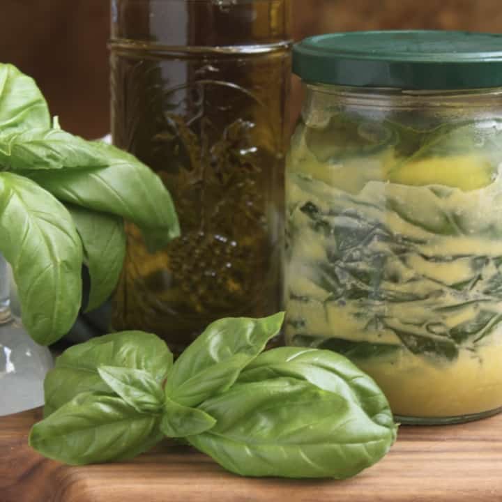 fresh and frozen basil with olive oil