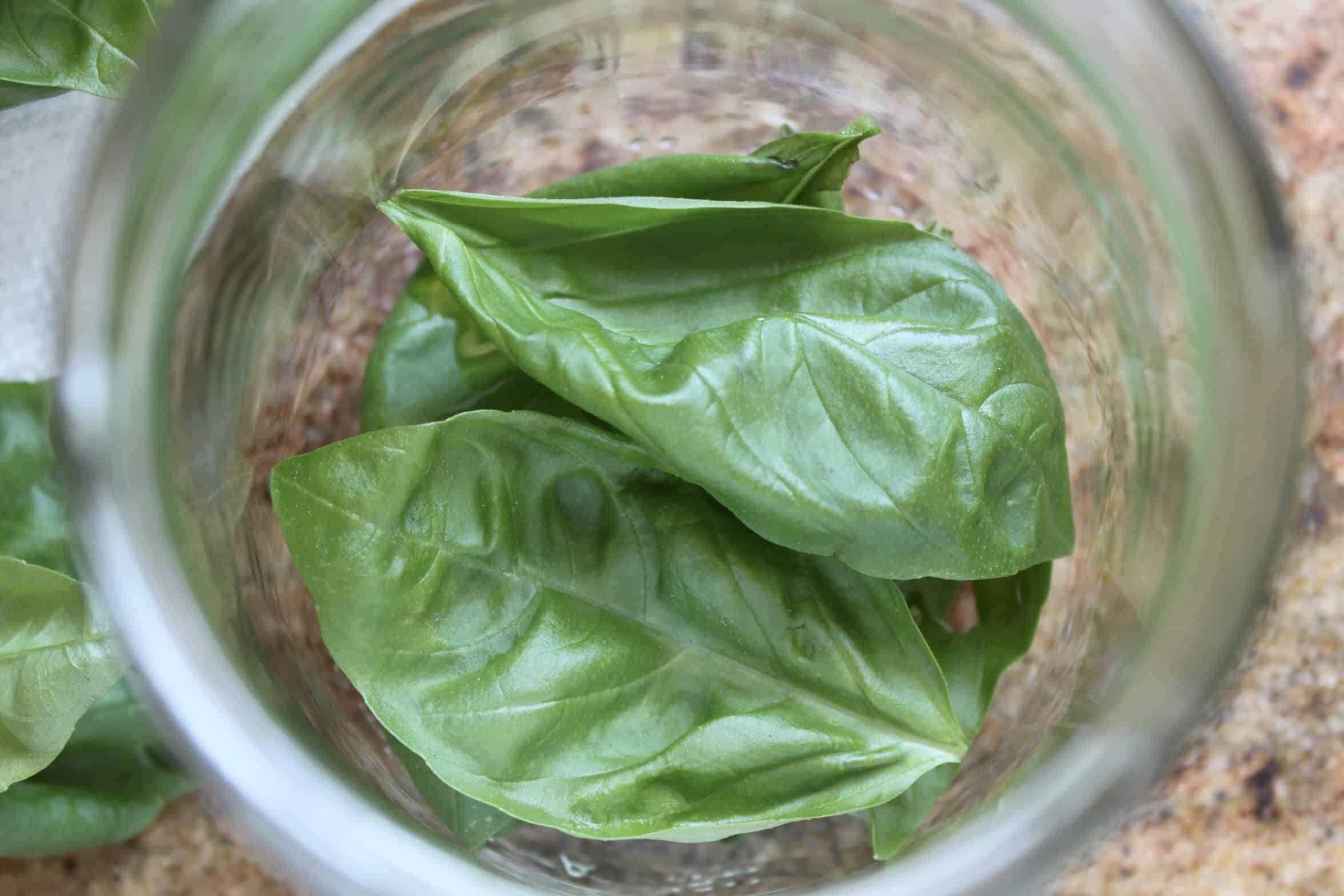 adding leaves to jar
