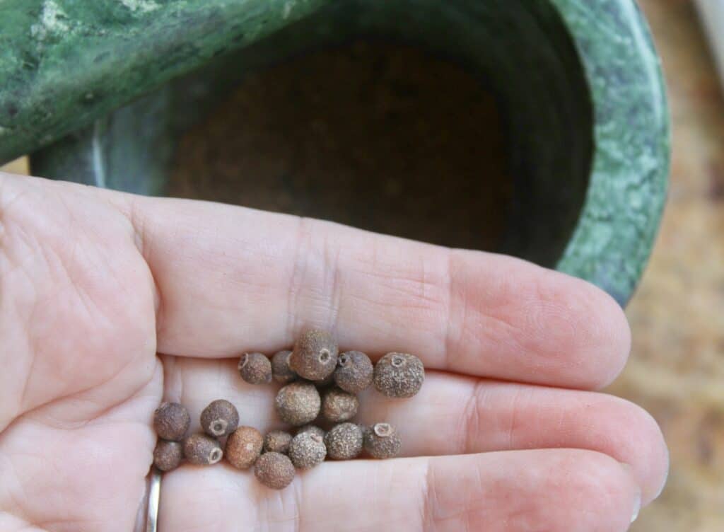 Mixed Spice (British Recipe for the US/Canada and Recipes to Use it