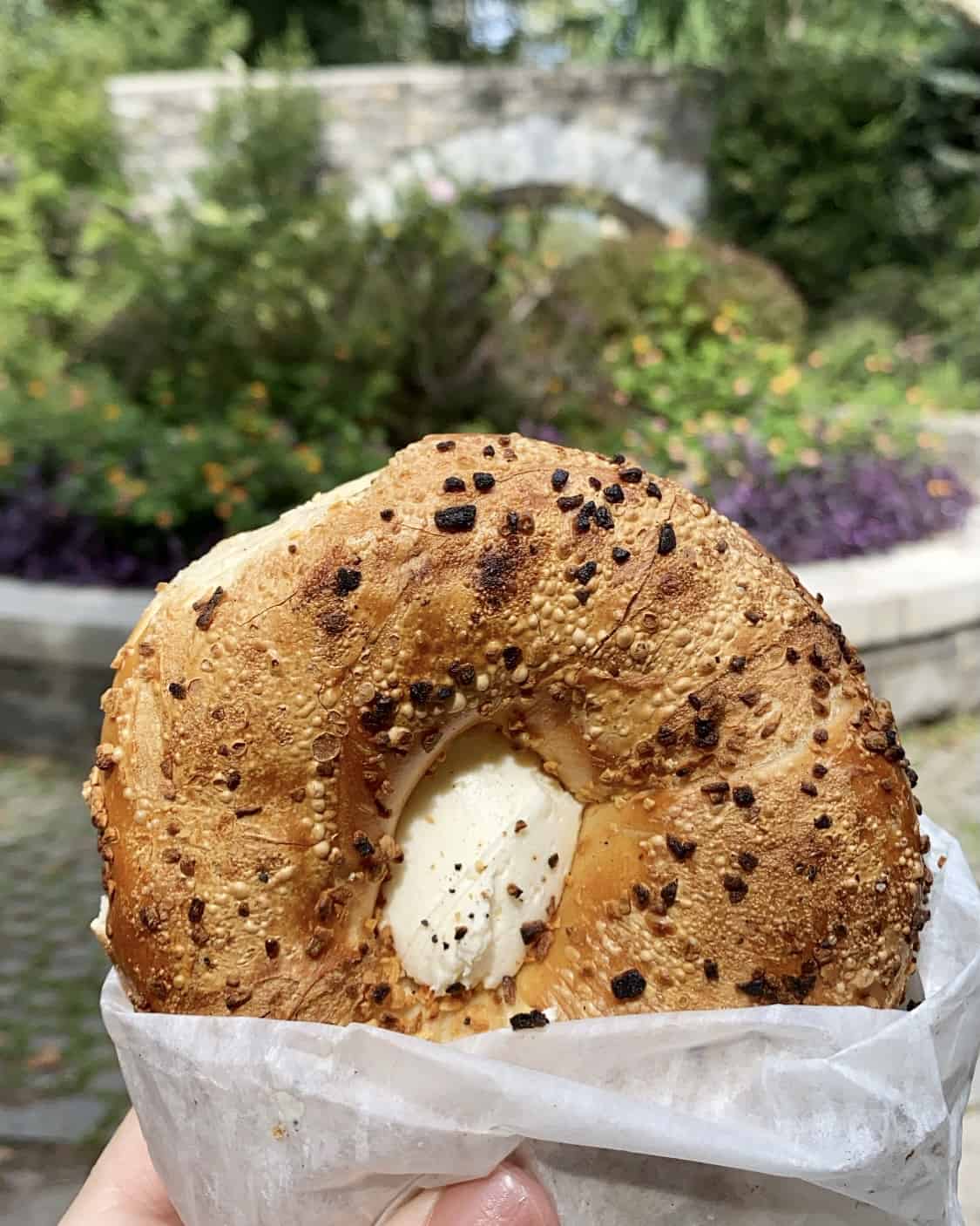 upper East Side bagel in Central Park