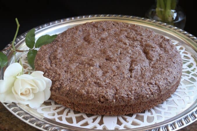 plain hazelnut chocolate cake.