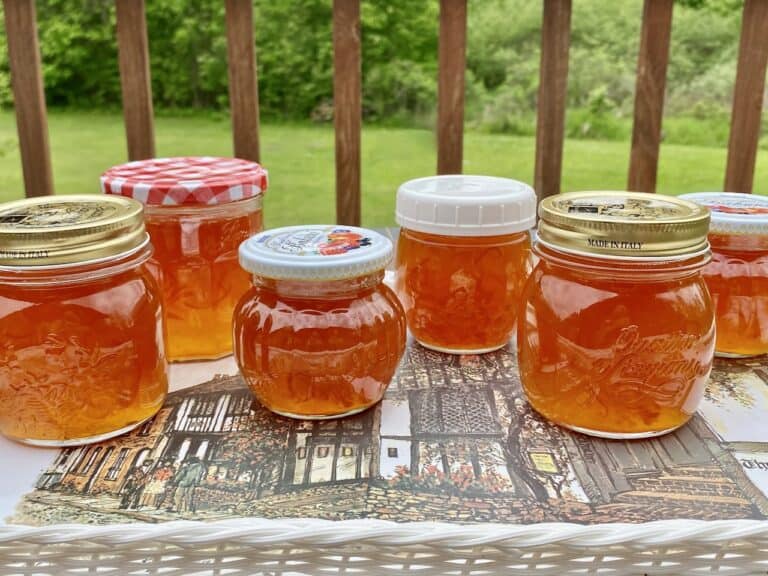 Kumquat Marmalade (Easy, No Pectin Recipe) Christina's Cucina