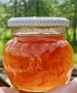 Kumquat marmalade in hand