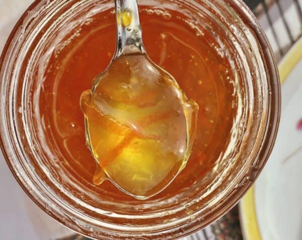 spoonful of kumquat marmalade