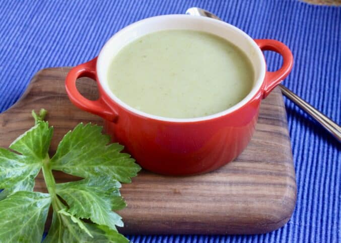 celery soup in a red pot-bowl with a leaf of celery
