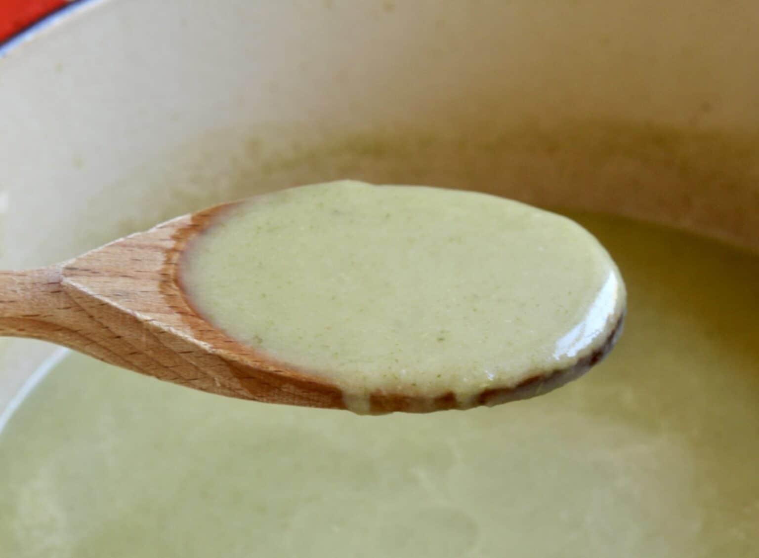 Celery Soup (Easy Recipe With or Without Cream) Christina's Cucina