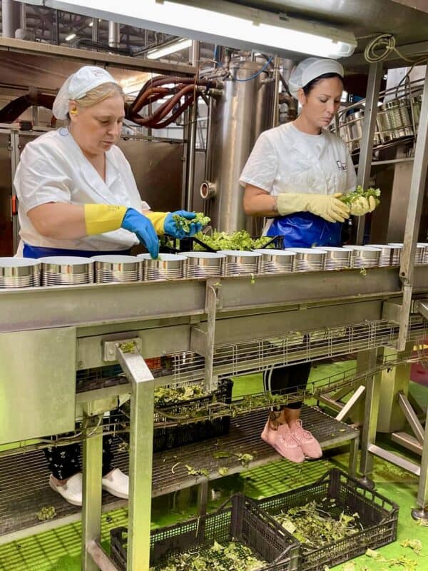 ladies adding basil to the best quality canned tomatoes at Ciao 