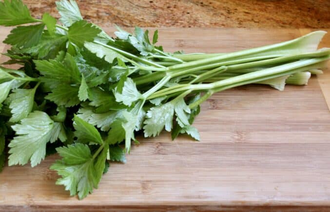 celery stalks and leaves