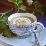 Celery Soup (Easy Recipe With or Without Cream)