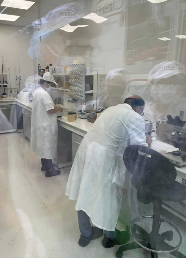 lab at Ciao with workers lab at Ciao with workers