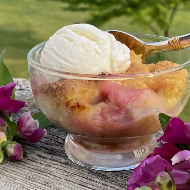 rhubarb cobbler with ice cream on a balcony ( recipe )
