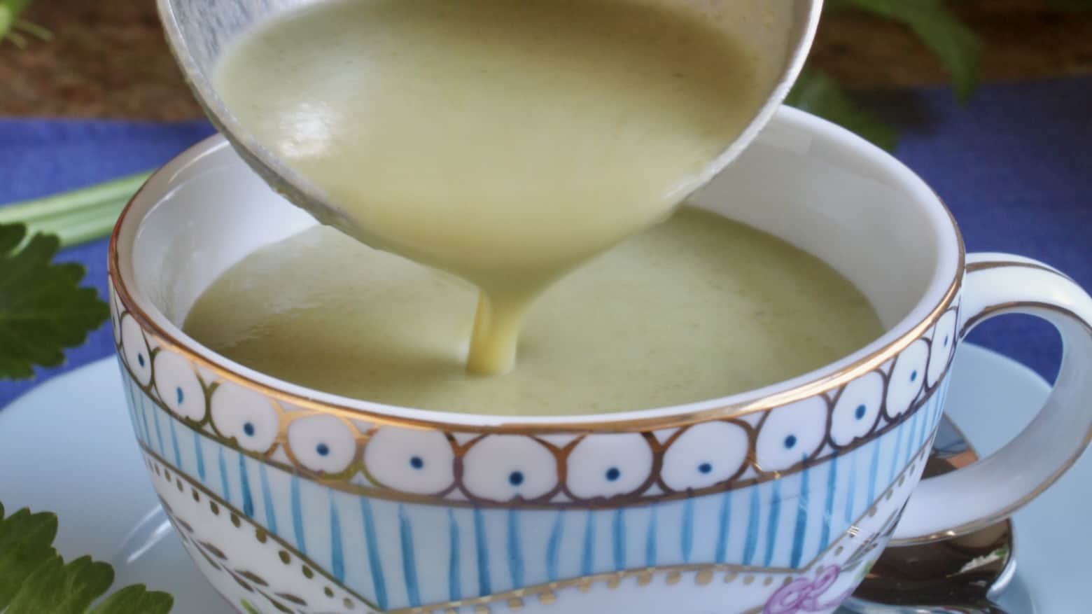 cream of celery soup