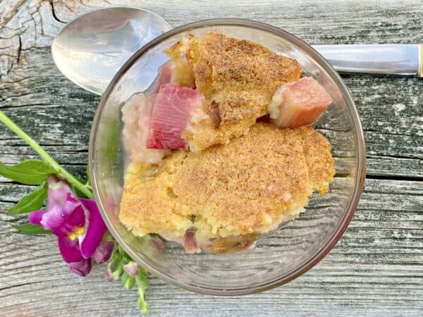 rhubarb cobbler on the deck