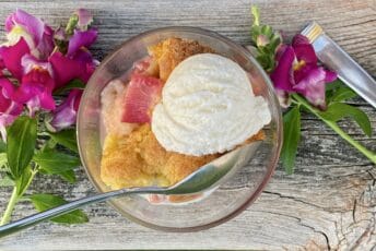 rhubarb cobbler and ice cream flat lay