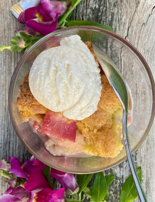 rhubarb cobbler