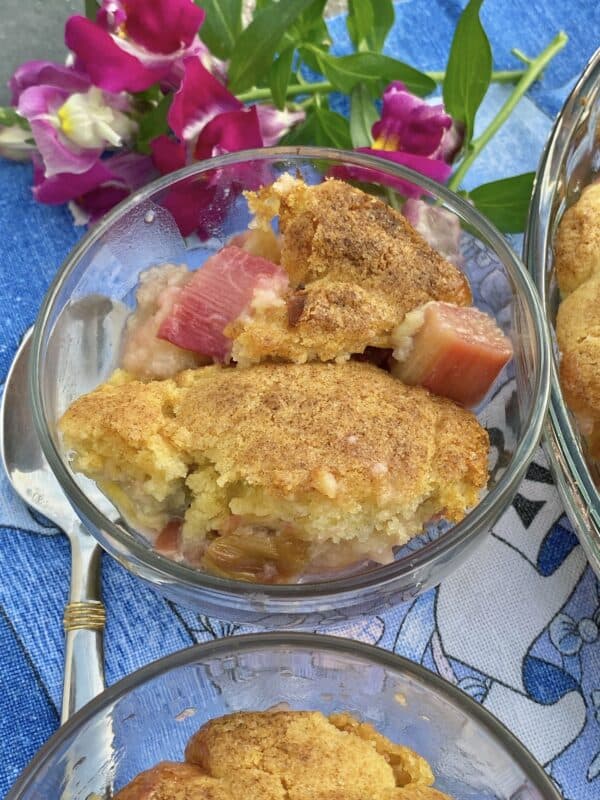 rhubarb cobbler