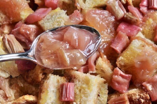 spoonful of stewed rhubarb spread onto rhubarb bread pudding