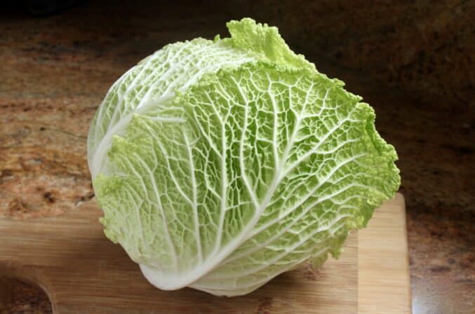 Head of Savoy cabbage