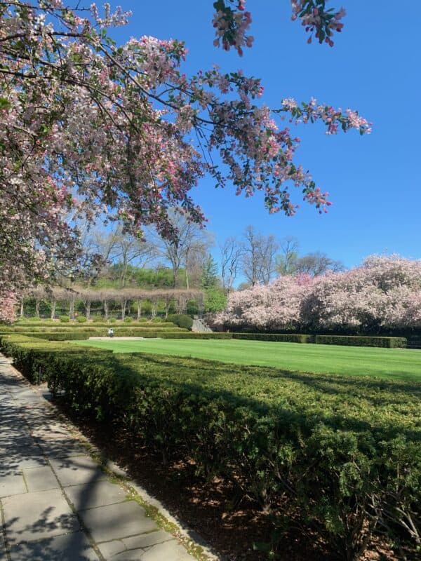 Central Park in bloom